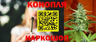 spice Кинель
