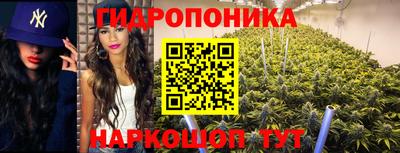 spice Кинель